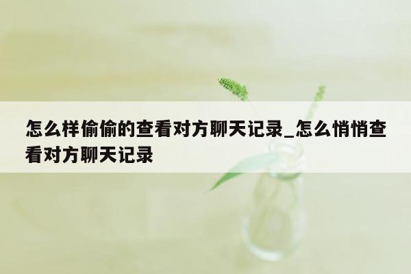 怎么样偷偷的查看对方聊天记录_怎么悄悄查看对方聊天记录