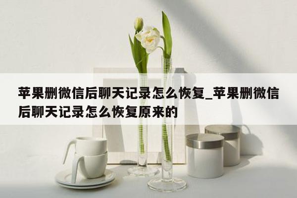 苹果删微信后聊天记录怎么恢复_苹果删微信后聊天记录怎么恢复原来的