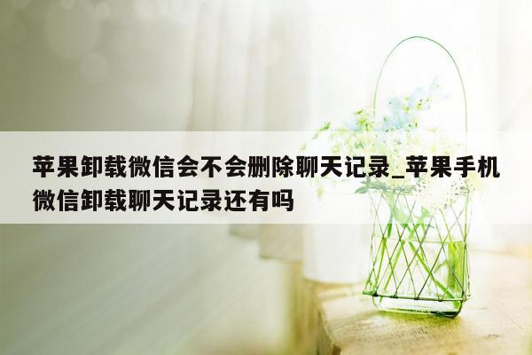 苹果卸载微信会不会删除聊天记录_苹果手机微信卸载聊天记录还有吗