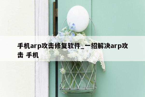 手机arp攻击修复软件_一招解决arp攻击 手机