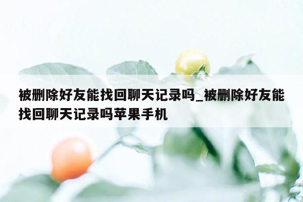 被删除好友能找回聊天记录吗_被删除好友能找回聊天记录吗苹果手机