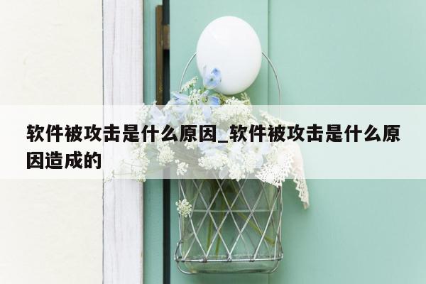 软件被攻击是什么原因_软件被攻击是什么原因造成的