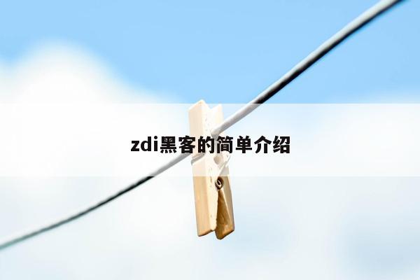 zdi黑客的简单介绍