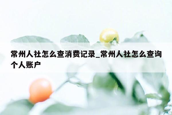 常州人社怎么查消费记录_常州人社怎么查询个人账户