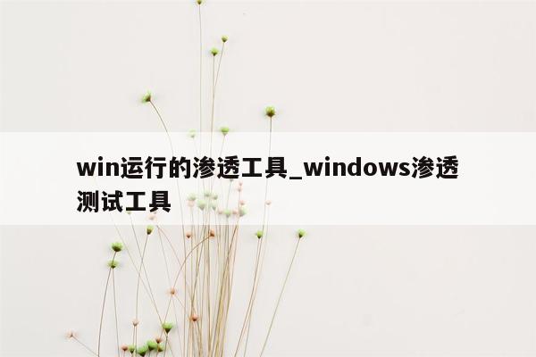 win运行的渗透工具_windows渗透测试工具