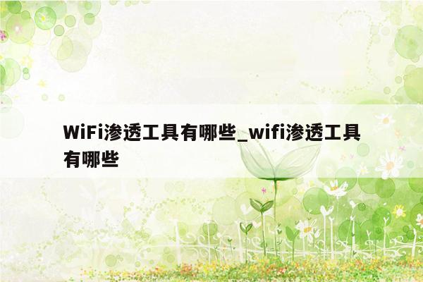 WiFi渗透工具有哪些_wifi渗透工具有哪些