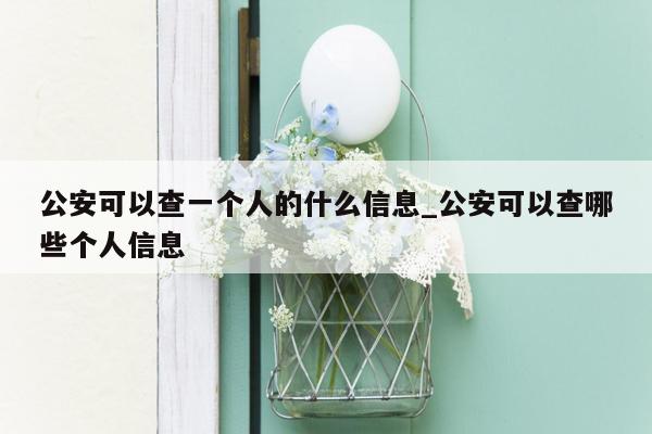 公安可以查一个人的什么信息_公安可以查哪些个人信息