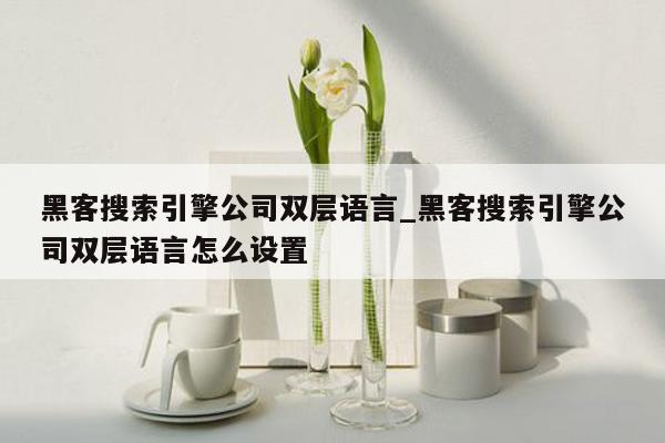 黑客搜索引擎公司双层语言_黑客搜索引擎公司双层语言怎么设置