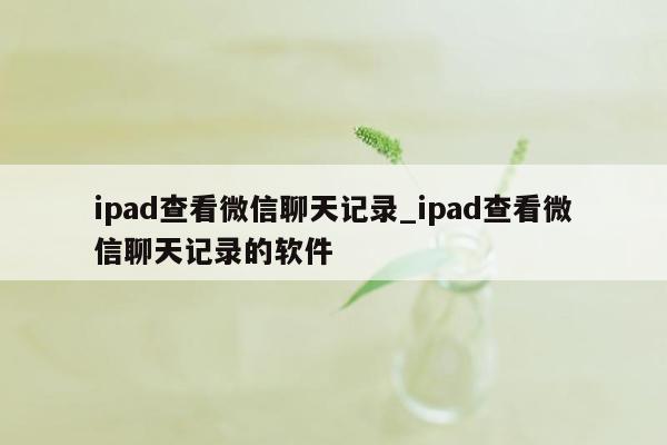 ipad查看微信聊天记录_ipad查看微信聊天记录的软件