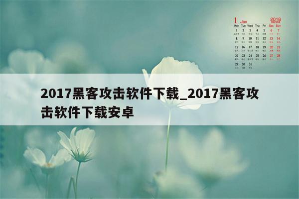 2017黑客攻击软件下载_2017黑客攻击软件下载安卓