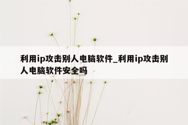 利用ip攻击别人电脑软件_利用ip攻击别人电脑软件安全吗