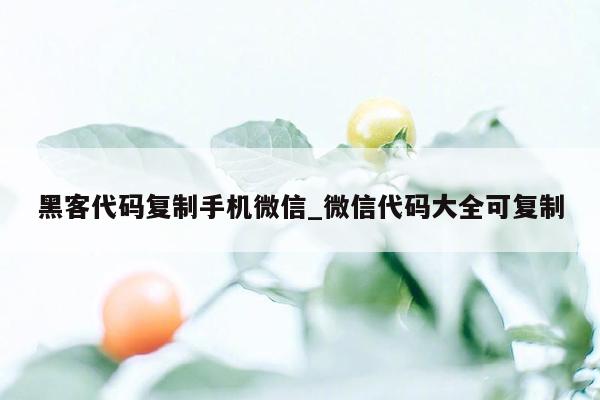 黑客代码复制手机微信_微信代码大全可复制