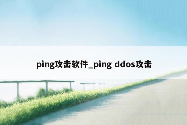 ping攻击软件_ping ddos攻击