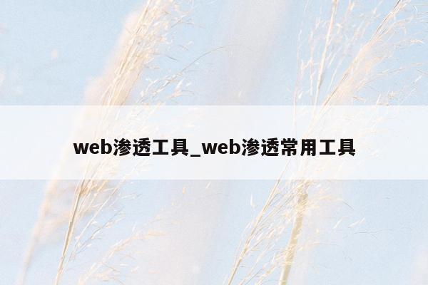 web渗透工具_web渗透常用工具