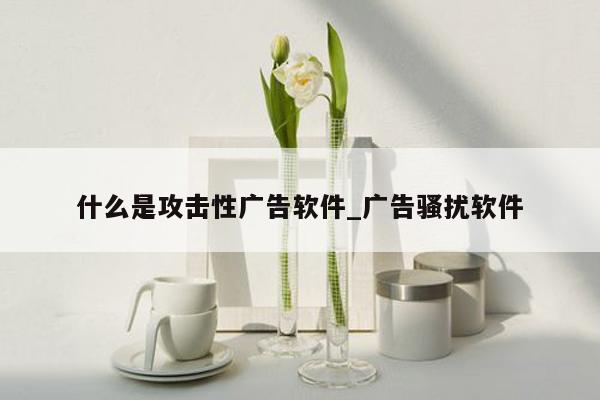 什么是攻击性广告软件_广告骚扰软件