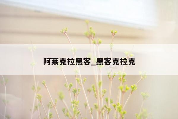 阿莱克拉黑客_黑客克拉克