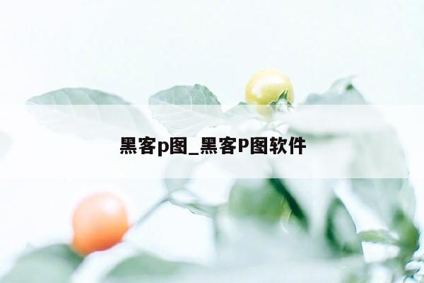 黑客p图_黑客P图软件