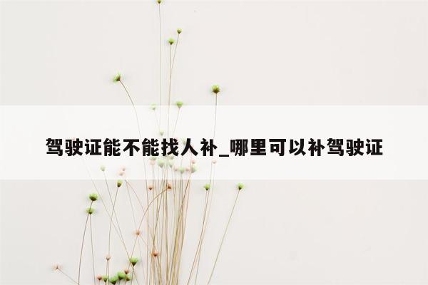 驾驶证能不能找人补_哪里可以补驾驶证