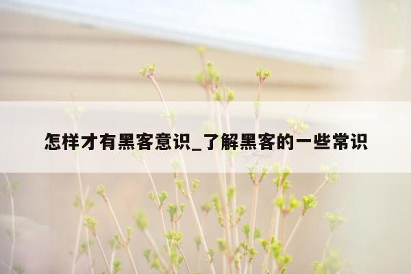 怎样才有黑客意识_了解黑客的一些常识