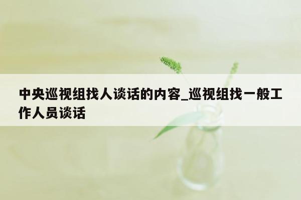 中央巡视组找人谈话的内容_巡视组找一般工作人员谈话