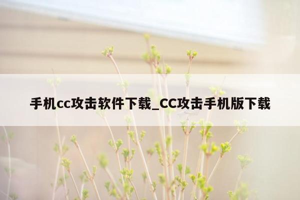 手机cc攻击软件下载_CC攻击手机版下载