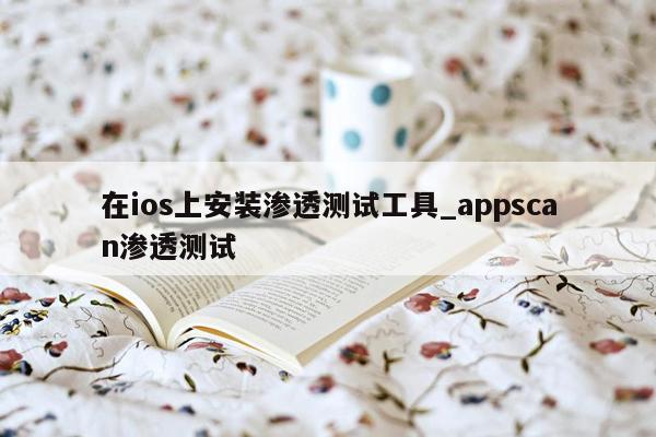 在ios上安装渗透测试工具_appscan渗透测试