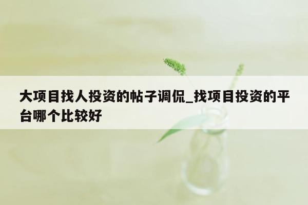 大项目找人投资的帖子调侃_找项目投资的平台哪个比较好