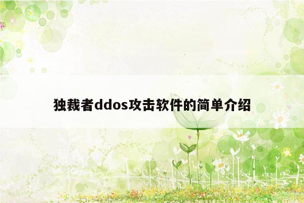 独裁者ddos攻击软件的简单介绍