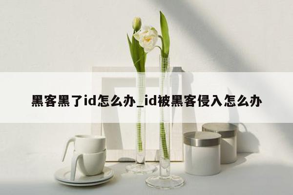 黑客黑了id怎么办_id被黑客侵入怎么办