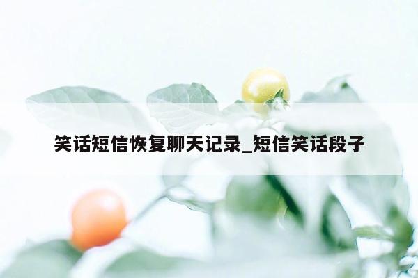 笑话短信恢复聊天记录_短信笑话段子