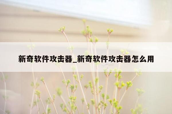 新奇软件攻击器_新奇软件攻击器怎么用