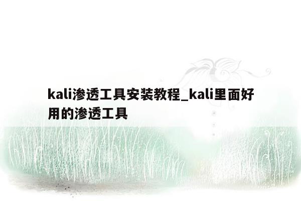 kali渗透工具安装教程_kali里面好用的渗透工具