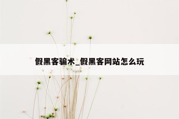 假黑客骗术_假黑客网站怎么玩