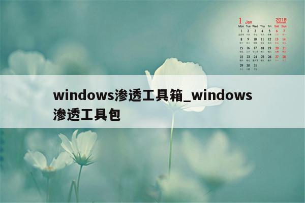 windows渗透工具箱_windows渗透工具包