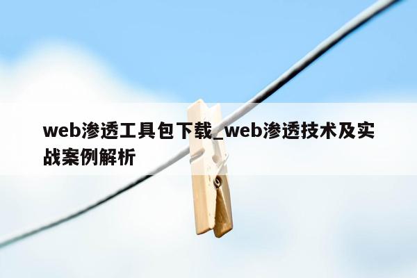 web渗透工具包下载_web渗透技术及实战案例解析