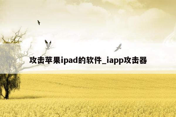 攻击苹果ipad的软件_iapp攻击器