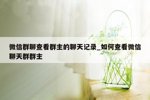 微信群聊查看群主的聊天记录_如何查看微信聊天群群主