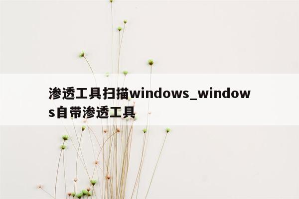 渗透工具扫描windows_windows自带渗透工具