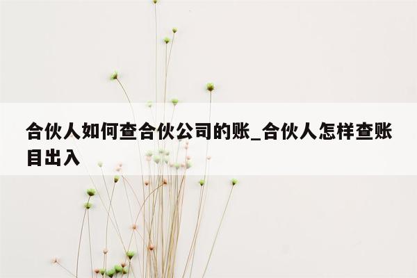 合伙人如何查合伙公司的账_合伙人怎样查账目出入