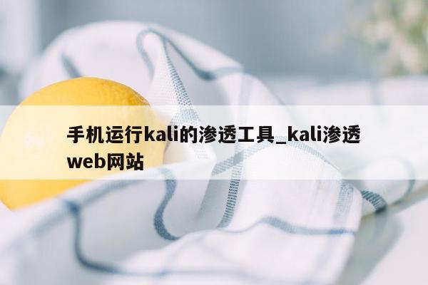 手机运行kali的渗透工具_kali渗透web网站