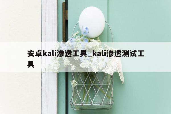 安卓kali渗透工具_kali渗透测试工具