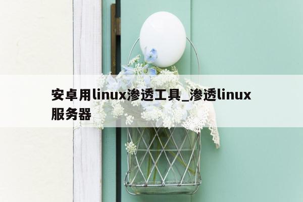 安卓用linux渗透工具_渗透linux服务器