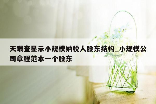 天眼查显示小规模纳税人股东结构_小规模公司章程范本一个股东