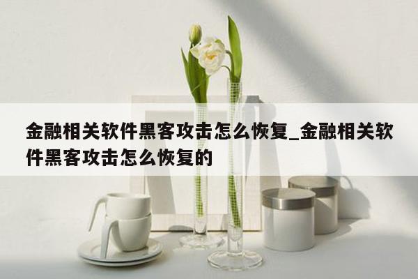 金融相关软件黑客攻击怎么恢复_金融相关软件黑客攻击怎么恢复的