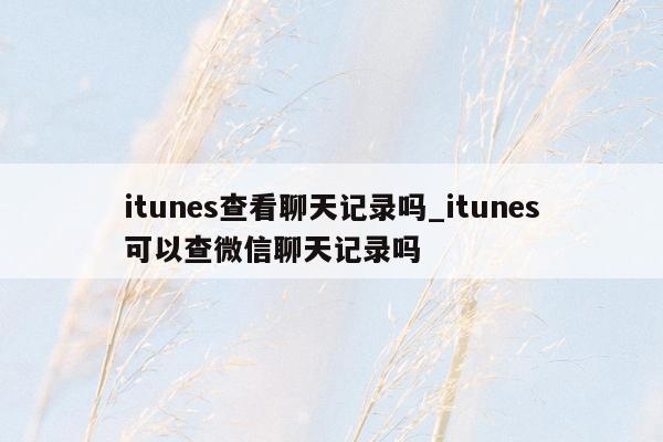 itunes查看聊天记录吗_itunes可以查微信聊天记录吗