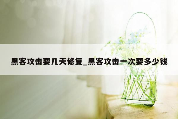 黑客攻击要几天修复_黑客攻击一次要多少钱