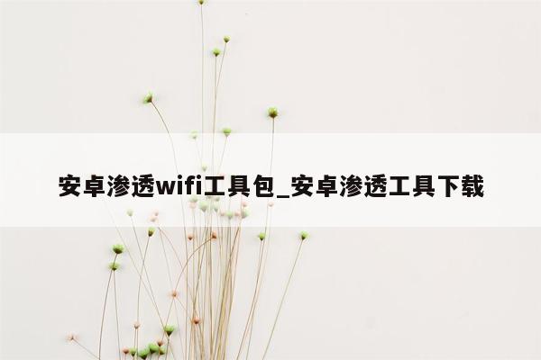 安卓渗透wifi工具包_安卓渗透工具下载