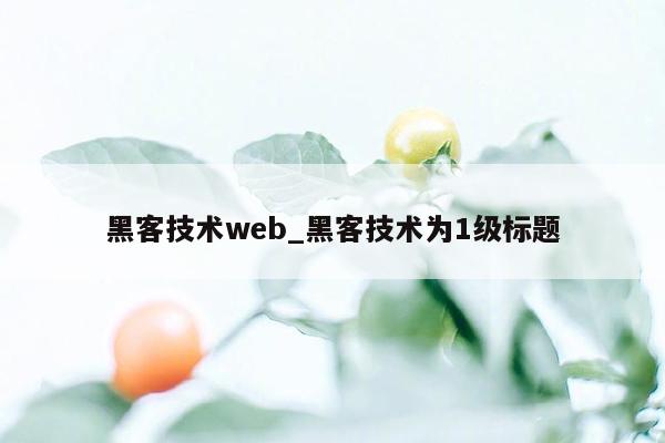 黑客技术web_黑客技术为1级标题