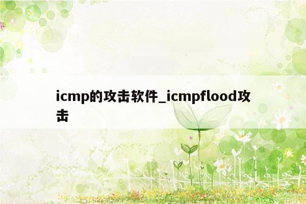 icmp的攻击软件_icmpflood攻击