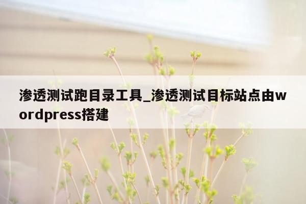 渗透测试跑目录工具_渗透测试目标站点由wordpress搭建